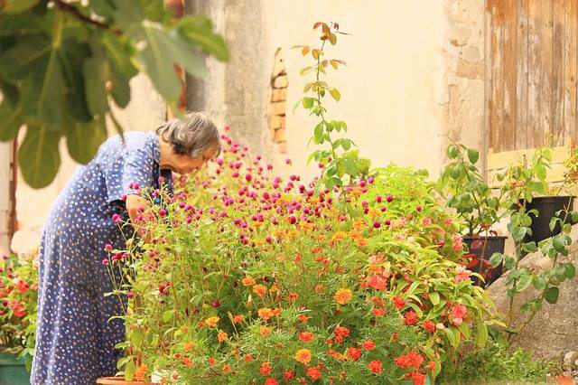 senior gardening / med alert